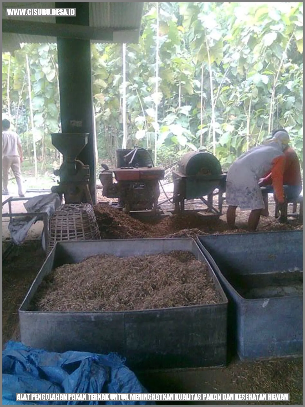 Mesin Penggiling Padi