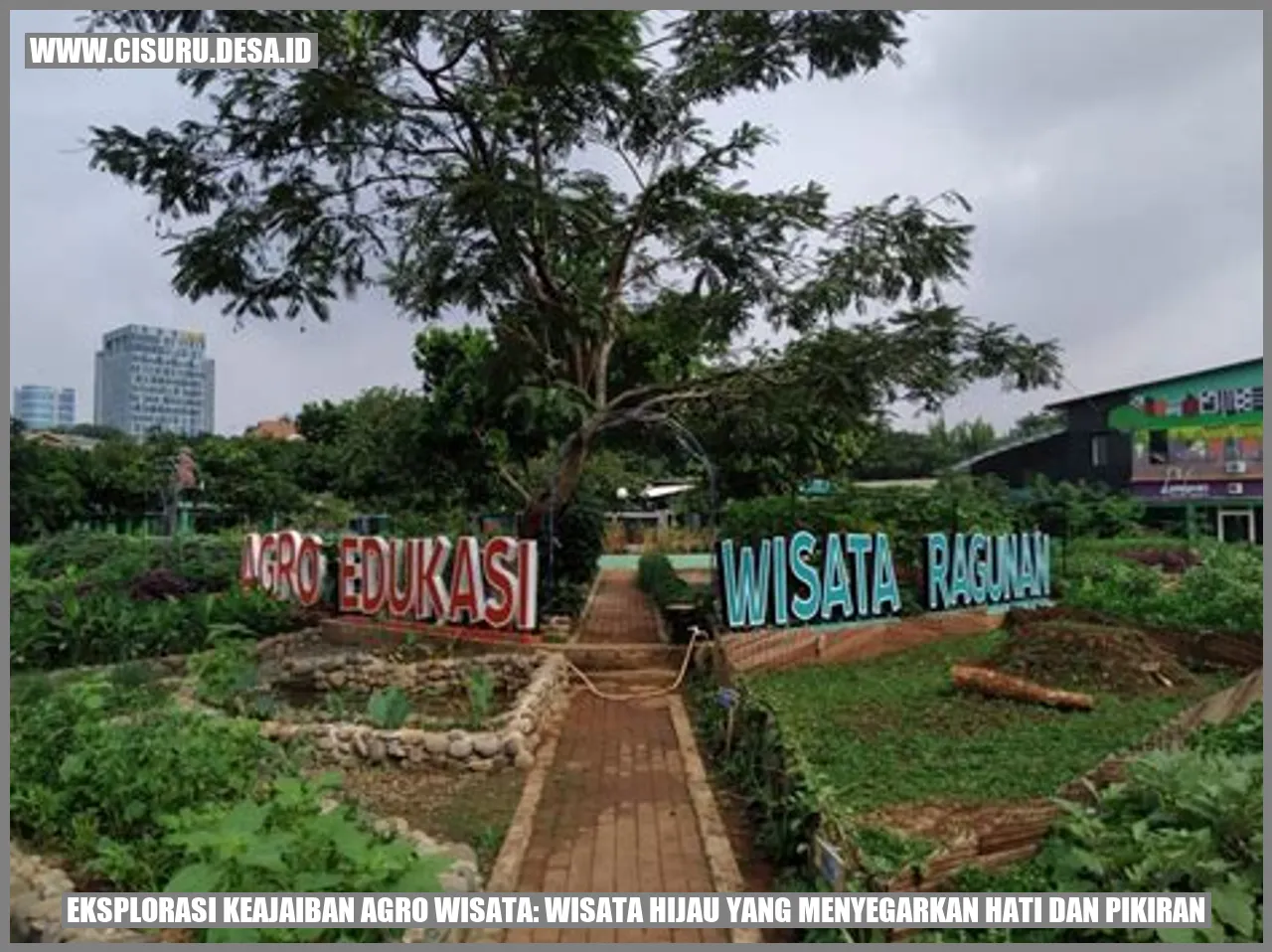 Wisata Pertanian Organik di Desa Cisuru, Cilacap