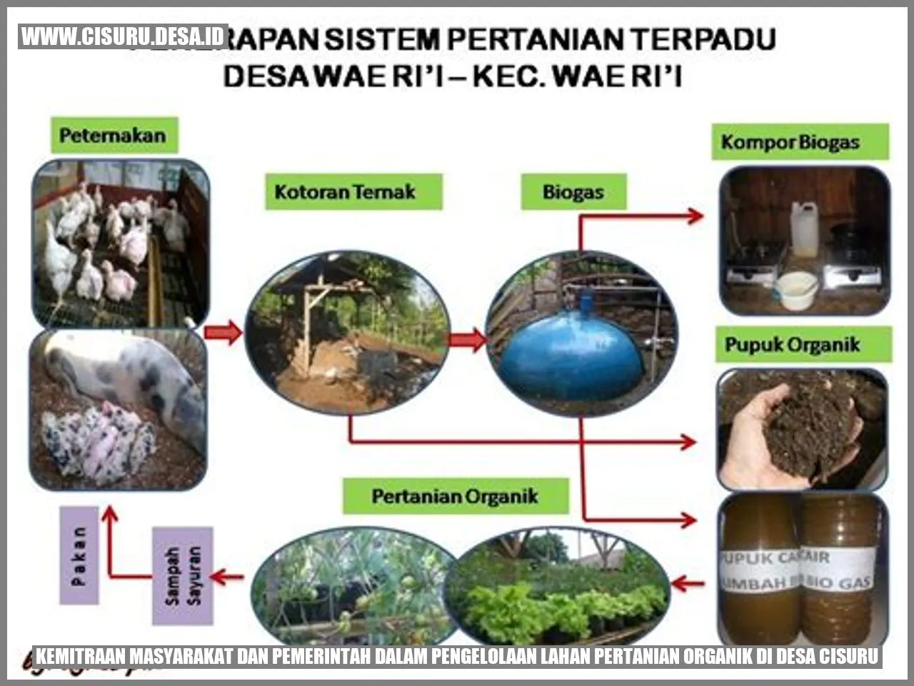 Kemitraan Masyarakat dan Pemerintah dalam Pengelolaan Lahan Pertanian Organik di Desa Cisuru