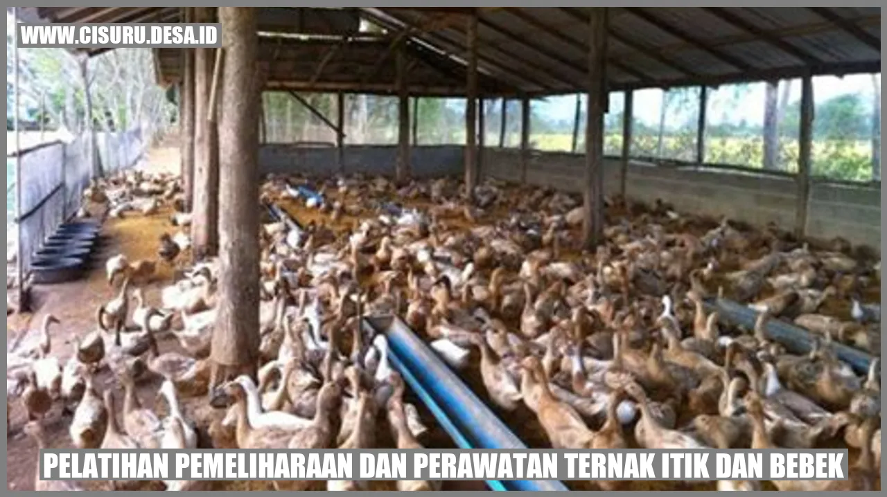 Pelatihan Pemeliharaan dan Perawatan Ternak Itik dan Bebek