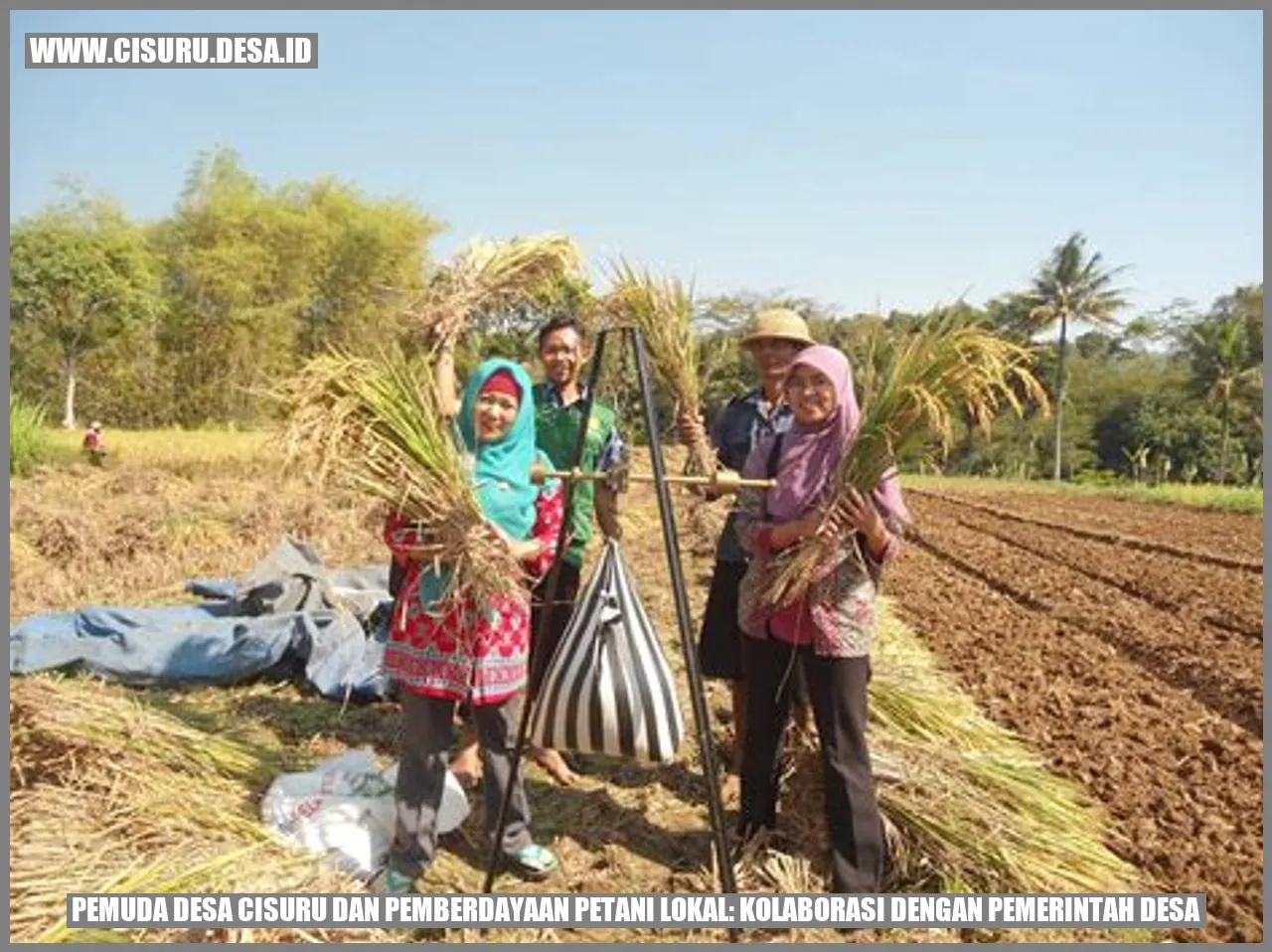 Gambar Pemuda Desa Cisuru dan Pemberdayaan Petani Lokal