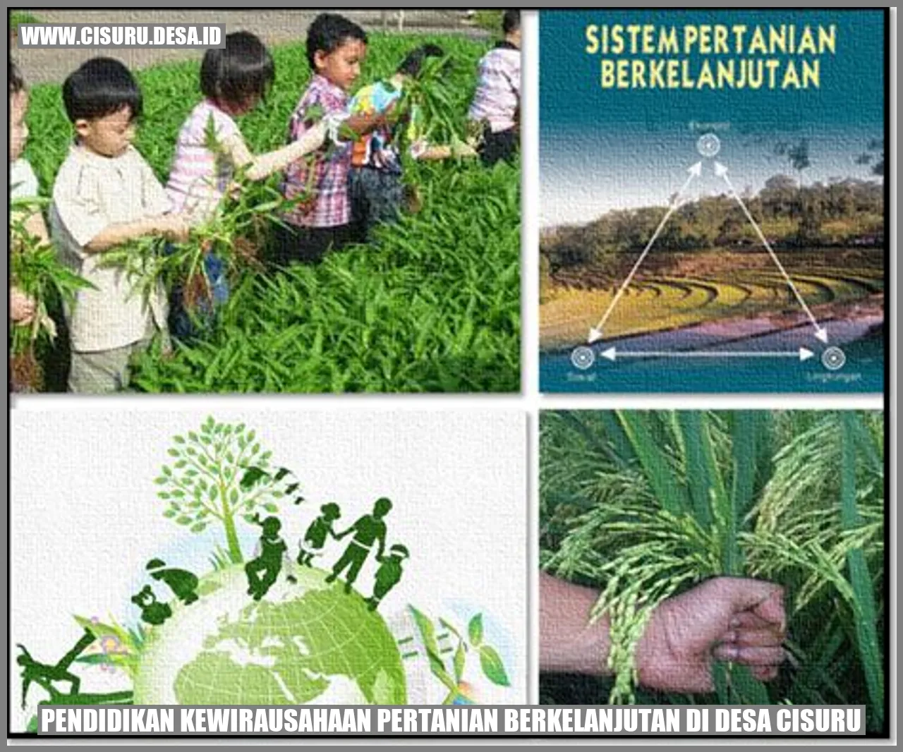 Pendidikan Kewirausahaan Pertanian Berkelanjutan di Desa Cisuru