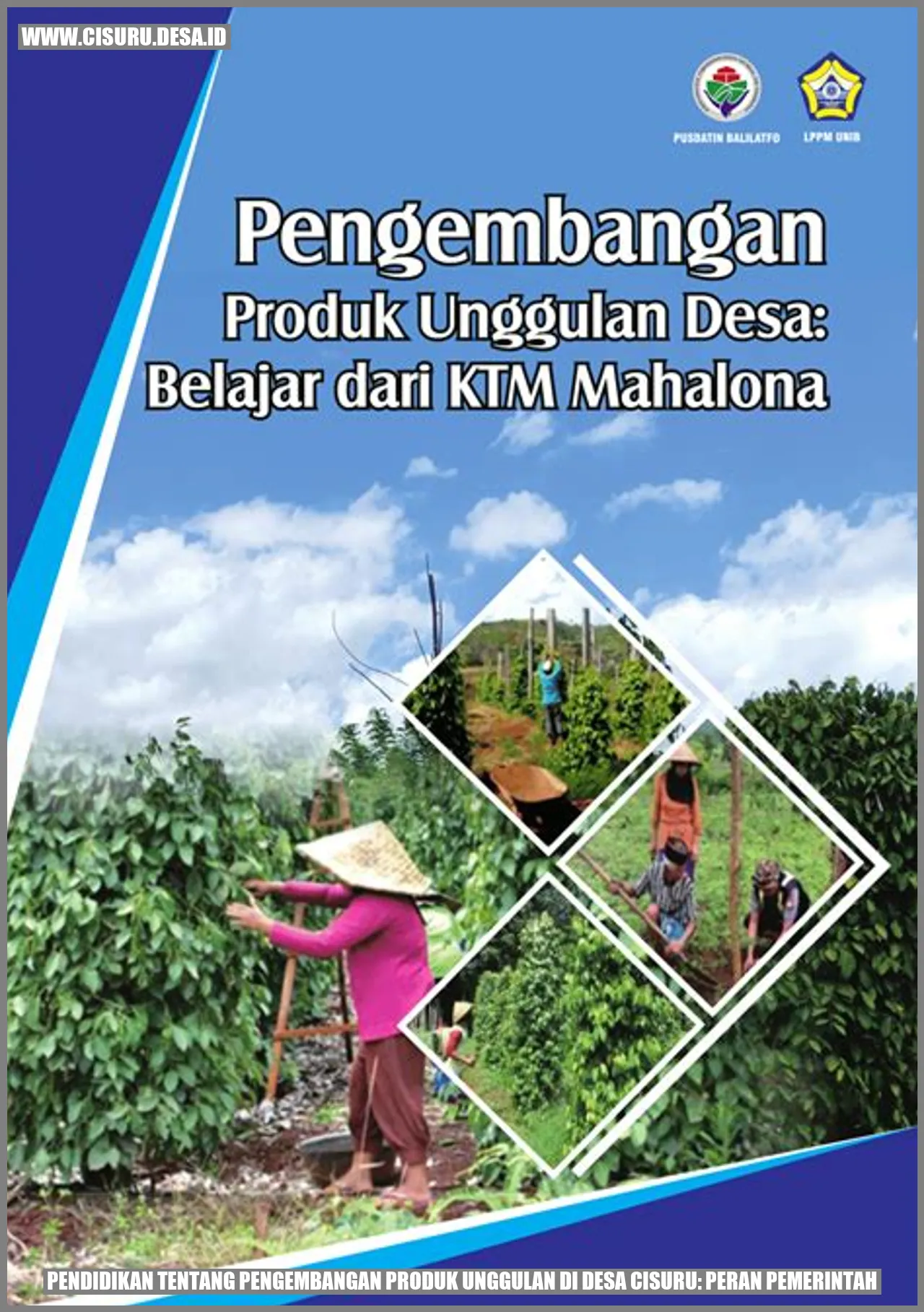 Pendidikan tentang Pengembangan Produk Unggulan di Desa Cisuru: Peran Pemerintah