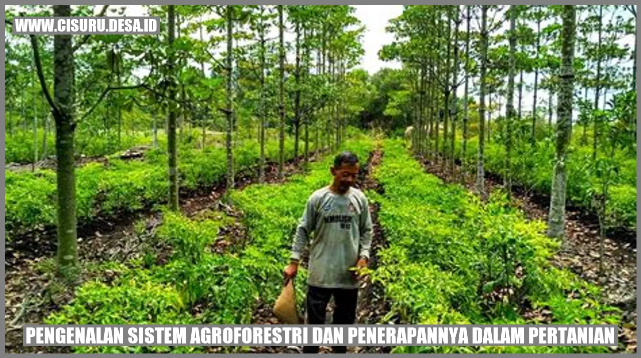 Sistem Agroforestri