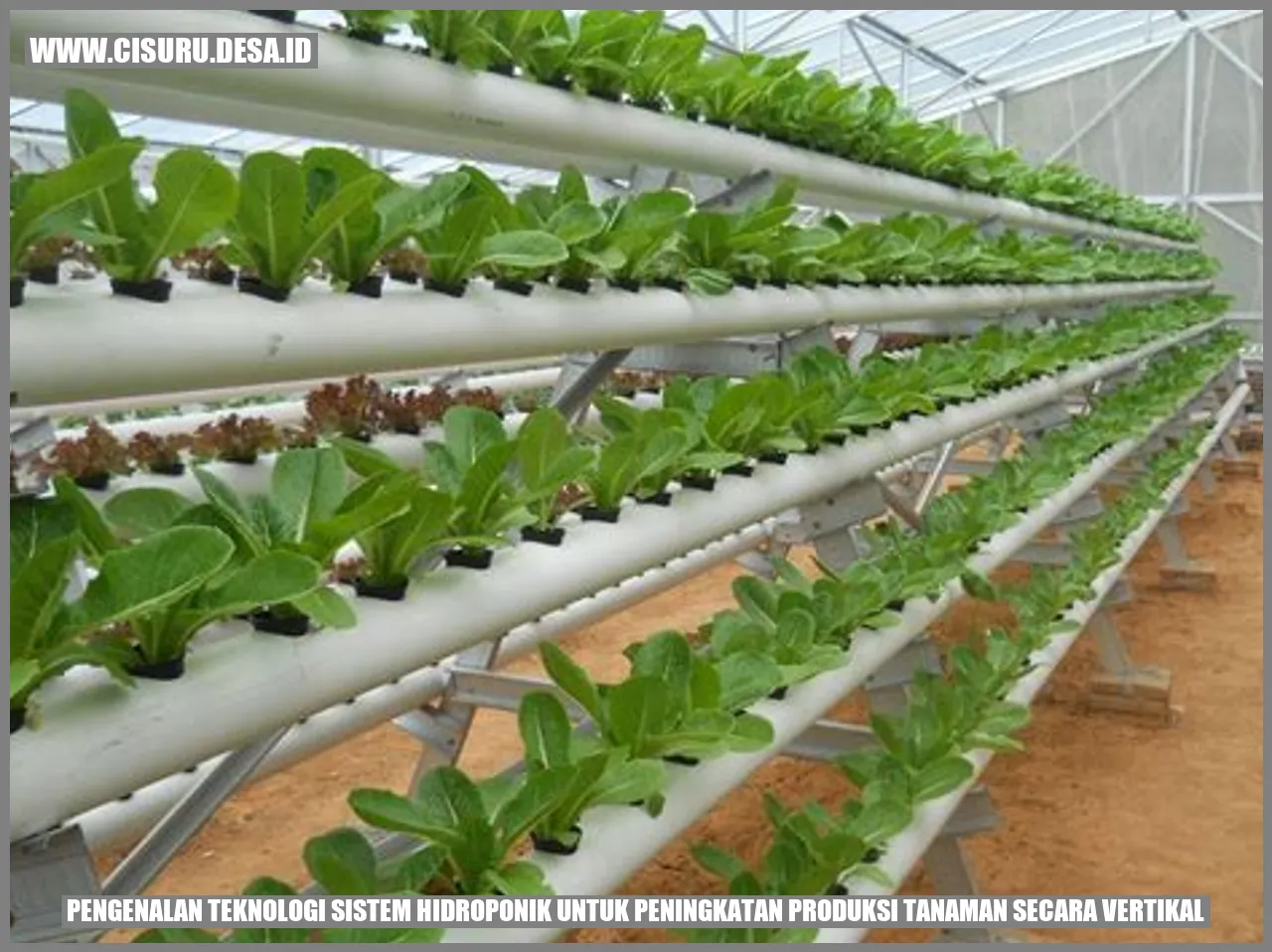 Visualisasi panduan membuat sistem hidroponik vertikal untuk tips sukses memelihara tanaman dalam sistem hidroponik vertikal
