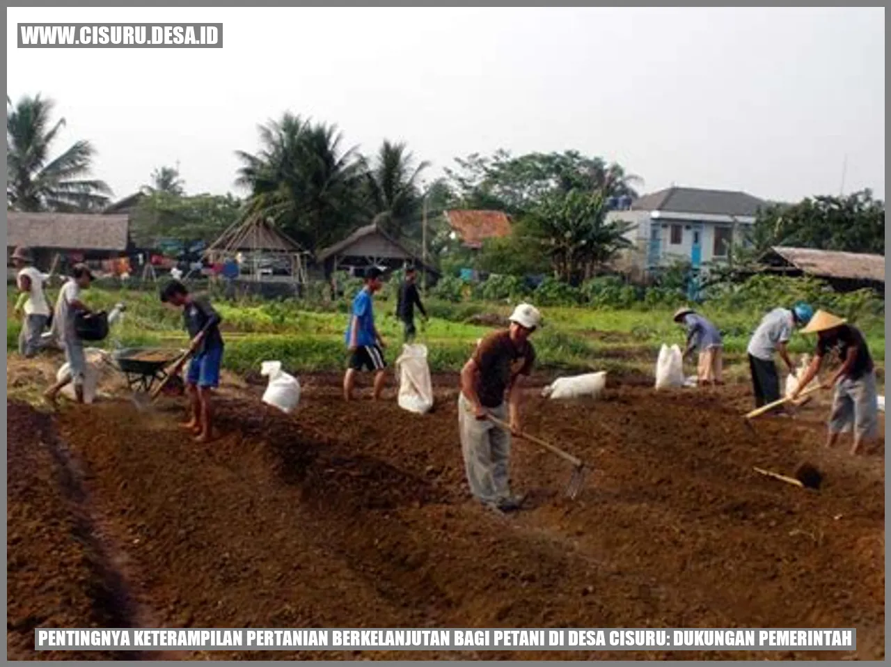 Pentingnya Keterampilan Pertanian Berkelanjutan bagi Petani di Desa Cisuru: Dukungan Pemerintah