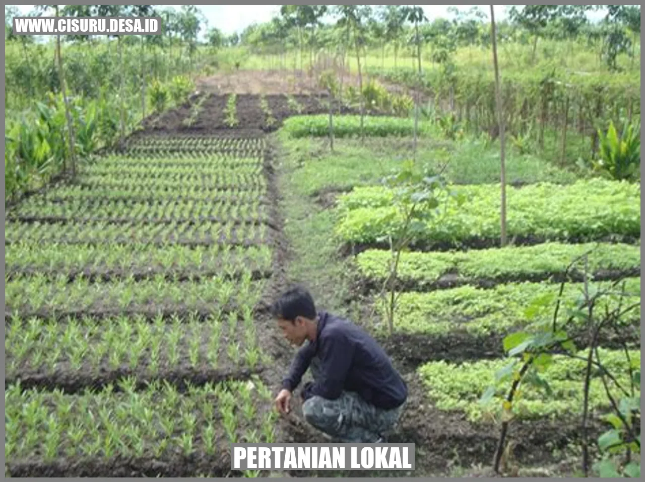 Tentu, berikut adalah artikel tentang wisata pertanian anak dengan perkiraan 1600 kata dalam Bahasa Indonesia.