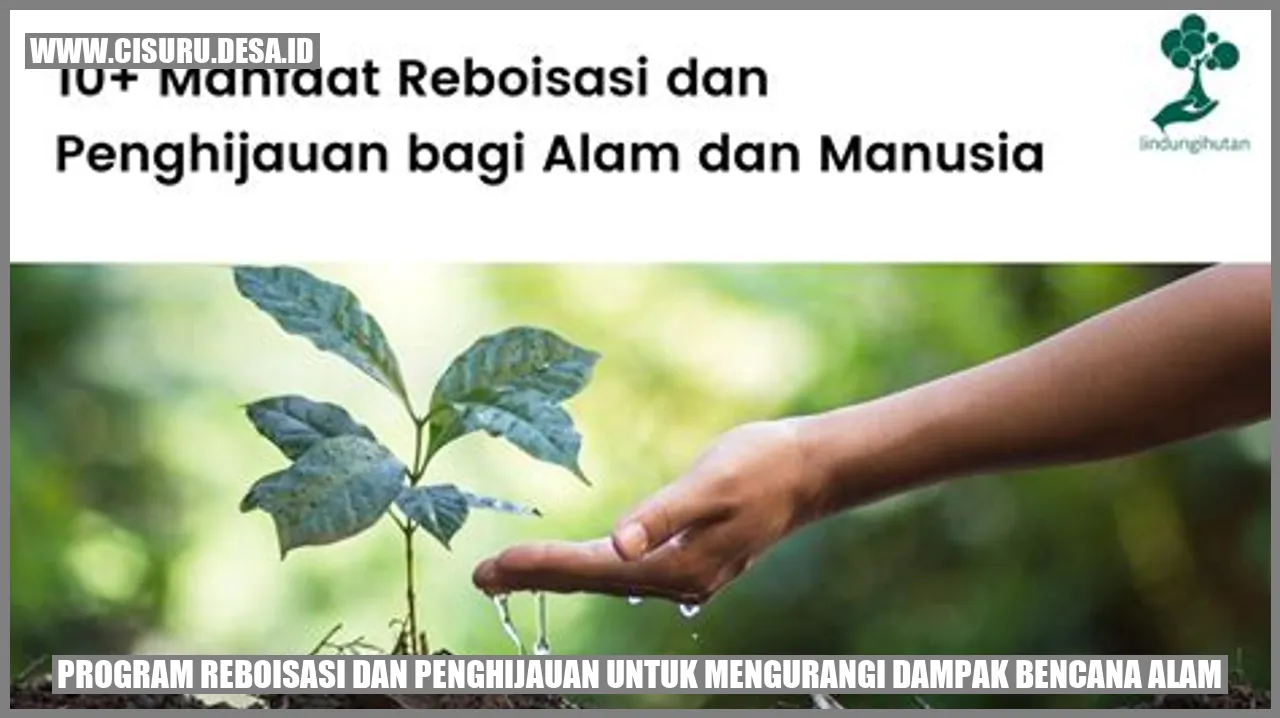 Gambar reboisasi dan penghijauan
