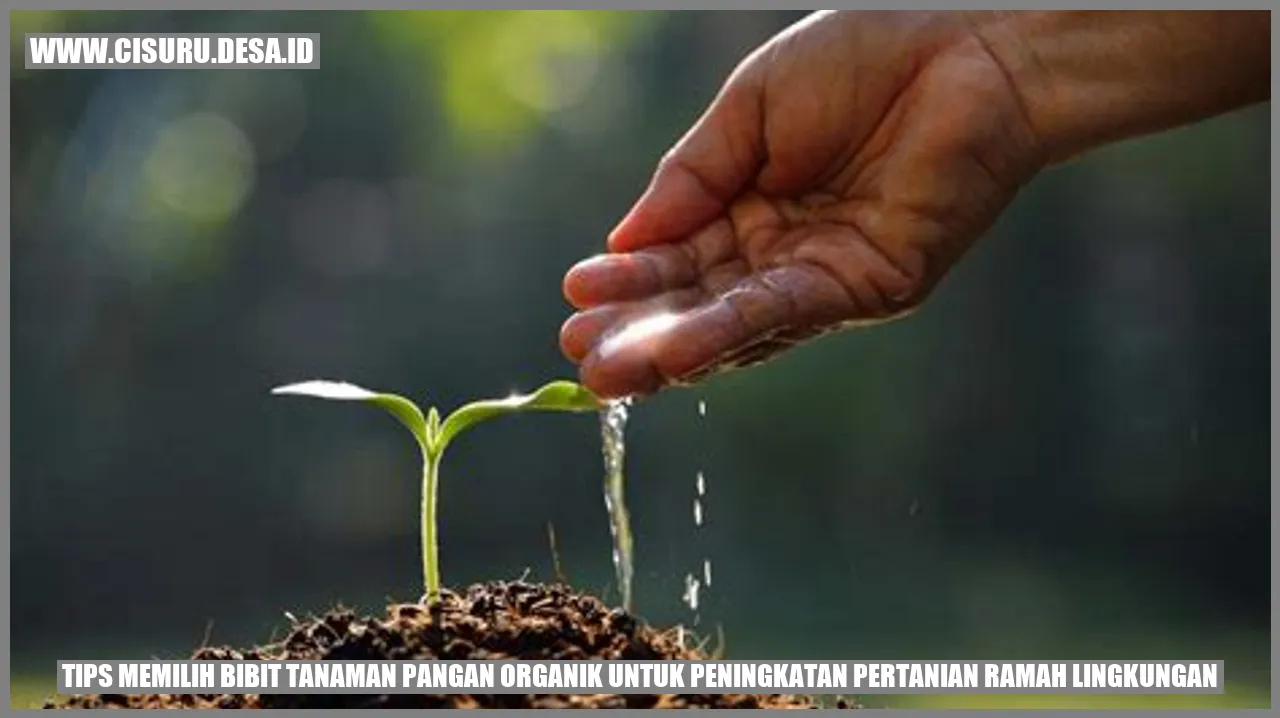 Tips Memilih Bibit Tanaman Pangan Organik untuk Peningkatan Pertanian Ramah Lingkungan